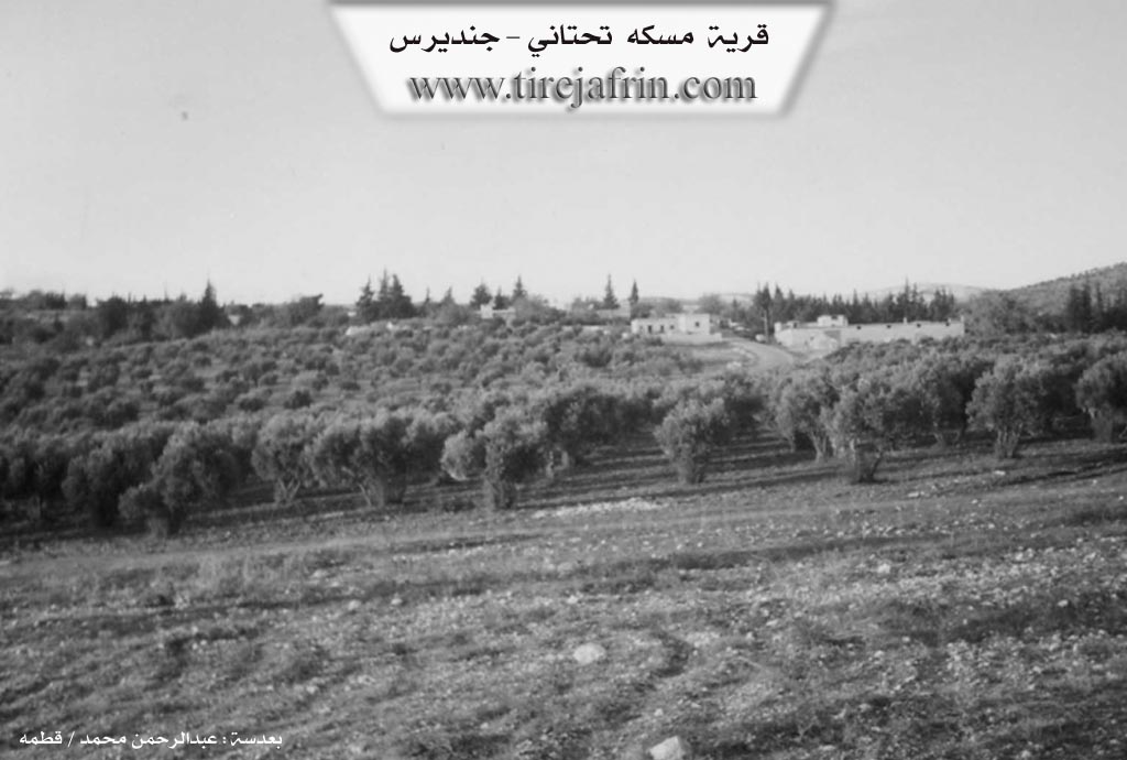 Photo of Miske Jerin